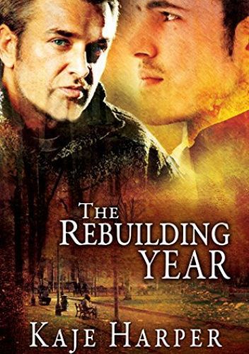 Okładki książek z cyklu The Rebuilding Year