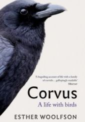 Okładka książki Corvus: A Life with Birds Esther Woolfson