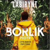 Okładka książki Labirynt Piotr Borlik