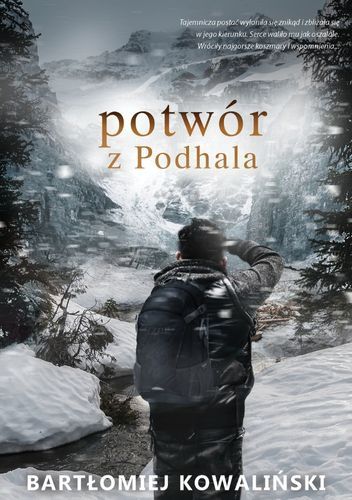 Okładki książek z cyklu Paweł Wolski