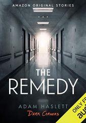 Okładka książki The Remedy Adam Haslett