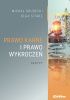Okładka książki Prawo karne i prawo wykroczeń. Skrypt Michał Grudecki,&nbsp;Olga Sitarz