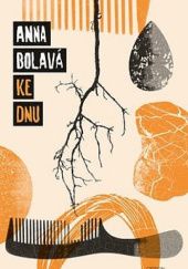 Okładka książki Ke dnu Anna Bolavá