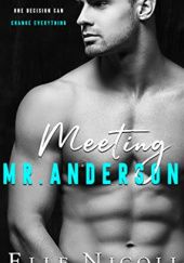 Okładka książki Meeting Mr. Anderson Elle Nicoll