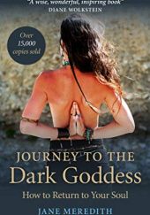 Okładka książki Journey to the Dark Goddess: How to Return to Your Soul Jane Meredith
