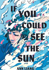 Okładka książki If You Could See the Sun Ann Liang