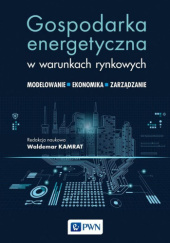 Okładka książki Gospodarka energetyczna w warunkach rynkowych. Modelowanie - Ekonomika - Zarządzanie Waldemar Kamrat
