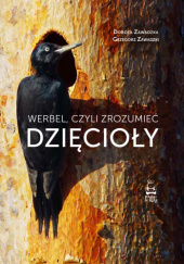 Okładka książki Werbel, czyli zrozumieć dzięcioły Dorota Zawadzka, Grzegorz Zawadzki