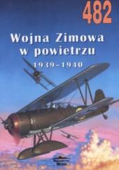 Wojna zimowa, działania lotnicze 1939-1940
