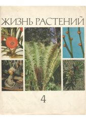 Okładka książki жизнь растений IV (Zhizn rasteniy) I. I. Abramov, A. L. Abramova, M. A. Baranova, V. R. Filin, A. S. Lazarenko, N. R. Meyer, N. S. Snigirevskaya, A. L. Takhtadzhyan, A. A. Yatsenko-Chmelevsky
