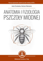 Okładka książki Anatomia i fizjologia pszczoły miodnej Aneta Strachecka, Martyna Walerowicz
