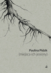 Okładka książki (miejsca ich jesiony) Paulina Pidzik