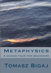 Okładka książki Metaphysics: A guided tour for beginners Tomasz Bigaj