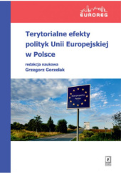 Okładka książki Terytorialne efekty polityk Unii Europejskiej w Polsce Grzegorz Gorzelak