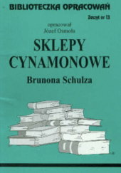 Okładka książki "Sklepy cynamonowe" Brunona Schulza Józef Osmoła