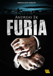 Okładka książki Furia Andreas Ek