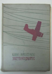 Okładka książki Skrzydlaty chłopiec Kornel Makuszyński