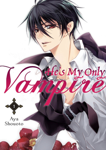 Okładki książek z cyklu He's My Only Vampire