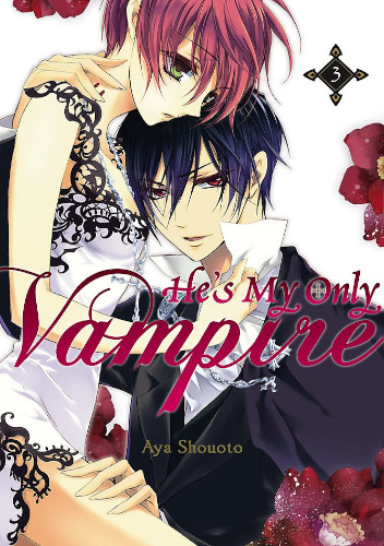 Okładki książek z cyklu He's My Only Vampire