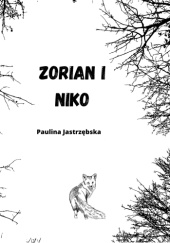 Okładka książki Zorian i Niko Paulina Jastrzębska