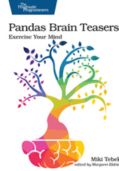 Okładka książki Pandas Brain Teasers: Exercise Your Mind Miki Tebeka