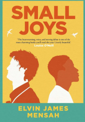 Okładka książki Small Joys Elvin James Mensah