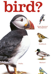 Okładka książki What's That Bird? Rob Hume