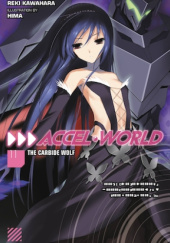 Okładka książki Accel World, Vol. 11 (light novel) Reki Kawahara