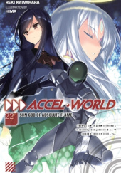 Accel World, Vol. 22 (light novel)
