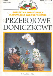 Okładka książki Przebojowe doniczkowe Agnieszka Sokołowska, Małgorzata Szymczykiewicz