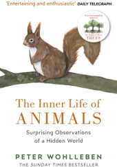 Okładka książki The inner life of animals : surprising observations of a hidden world Peter Wohlleben