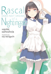 Okładka książki Rascal Does Not Dream of a Nightingale (light novel) Hajime Kamoshida, Keiji Mizoguchi