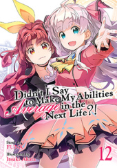 Okładka książki Didn't I Say to Make My Abilities Average in the Next Life?!, Vol. 12 (light novel) Itsuki Akata, FUNA