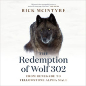 Okładka książki The Redemption of Wolf 302 - From Renegade to Yellowstone Alpha Male Rick McIntyre