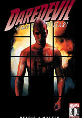 Daredevil Vol. 13: Murdock Papers