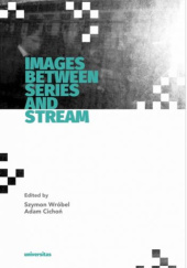 Okładka książki Images Between Series and Stream Adam Cichoń, Szymon Wróbel