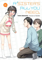 Okładka książki A Sisters All You Need., Vol. 11 (light novel) Yomi Hirasaka, Kantoku