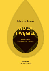 Okładka książki Woda i węgiel Luljeta Lleshanaku