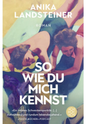 Okładka książki So wie du mich kennst Anika Landsteiner