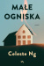 Małe ogniska