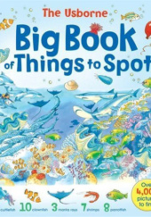 Okładka książki Big Book of Things to Spot Ruth Brocklehurst, Gillian Doherty, Anna Milbourne