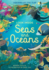 Okładka książki Look Inside Seas and Oceans Megan Cullis