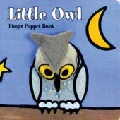 Okładka książki Little Owl Aimee Gauhtier