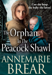 Okładka książki The Orphan in the Peacock Shawl Annemarie Brear