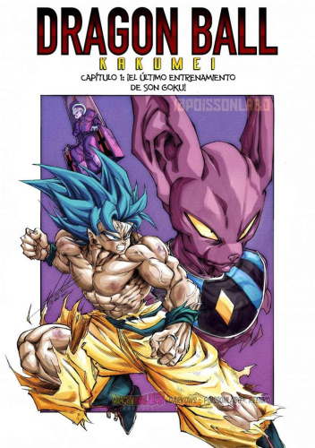 Okładki książek z cyklu Dragon Ball Kakumei