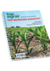 Okładka książki Fazy rozwojowe kukurydzy Tomasz Czubiński, Maria Walerowska