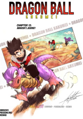 Okładka książki Dragon Ball Kakumei 12: Podróż Amarona Reenko