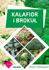 Okładka książki Kalafior i brokuł - zeszyt uprawowy praca zbiorowa