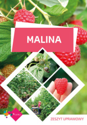 Okładka książki Malina – zeszyt uprawowy praca zbiorowa