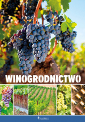 Okładka książki Winogrodnictwo praca zbiorowa